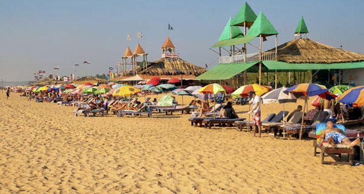 Candolim Taxi Service